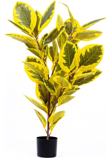 Yapay Ficus Altissima Ağacı Sarı Yeşil 120 cm