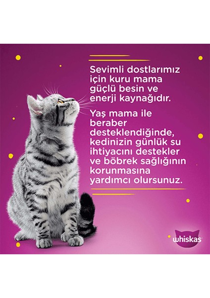 Güveç Sığırlı 85 gr 24X