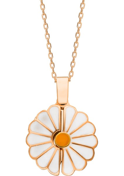 Daisy Kolye 718923 Rose