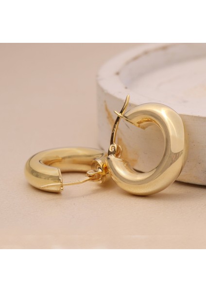 Kalın Halka Küpe 717053 Gold fiyatları