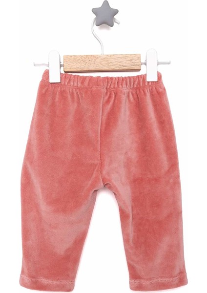 HelloBaby Basic Kadife Eşofman Alt Kız Bebek