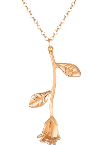 Rosita Kolye 719059 Silver modelleri