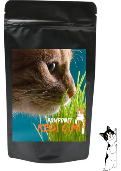 Friandise Kedi Ödül Maması & Kedi Çimi Ikili Paket fiyatları