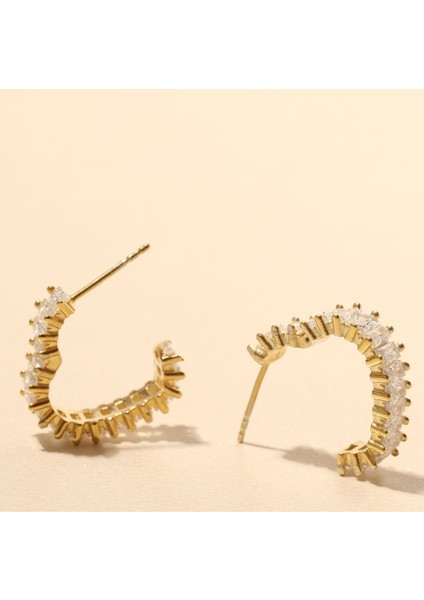 Zirkon Kalp Küpe 717099 Gold fiyatları