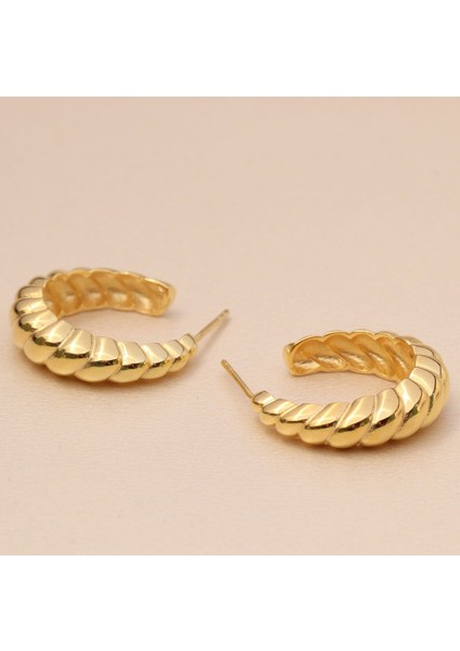 Kabuk Halka Küpe 718884 Gold fiyatları