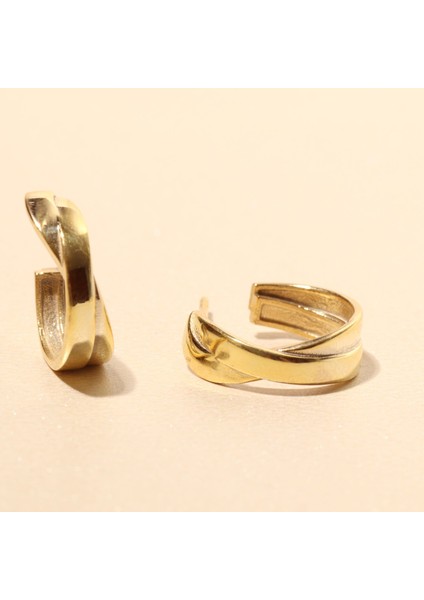 Halka Küpe 717035 Gold fiyatları