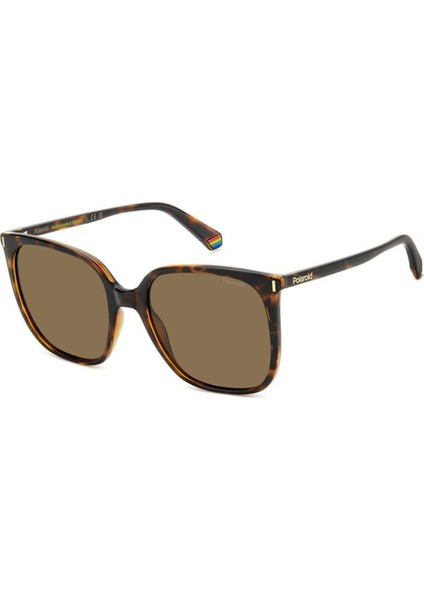 Pld 6218/S 086SP 56 Polarize Güneş Gözlüğü