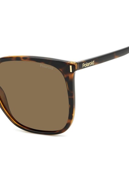 Pld 6218/S 086SP 56 Polarize Güneş Gözlüğü