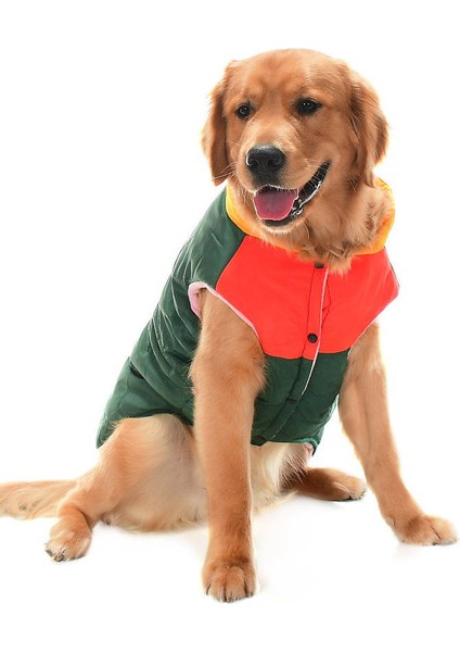 Murpota Köpek Mont -Yeşil fırsatları