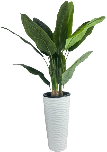 Yapay Starliçe Muz Ağacı Beyaz Kumsal Vazoda Muz Ağacı Yapay Starliçe 150CM 12 Yaprak