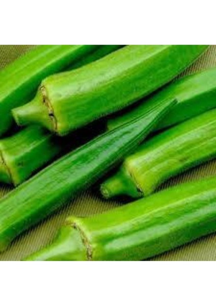 400 Adet Tohum Organik Yeni Sezon Sultani Bamya Tohumu Saksı Toprak modelleri