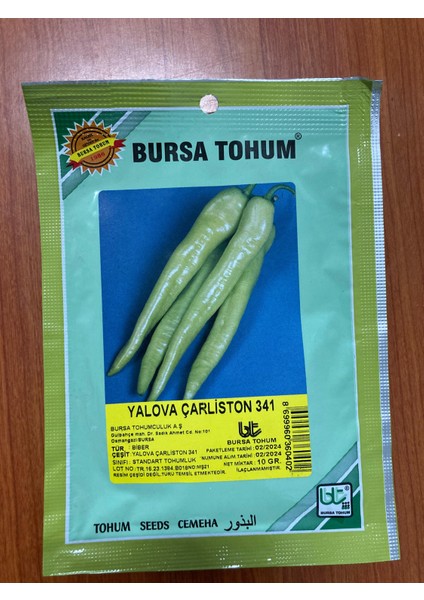 Bursa Tohum Yalova Çarliston 341 Biber Tohumu