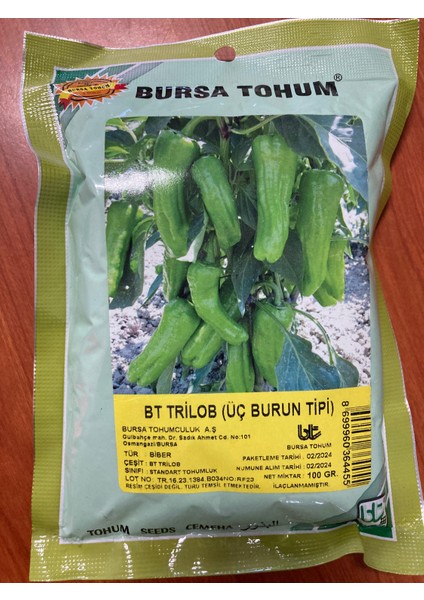 Bursa Tohum Trilob Üç Burun Tipi Biber Tohumu 100GR