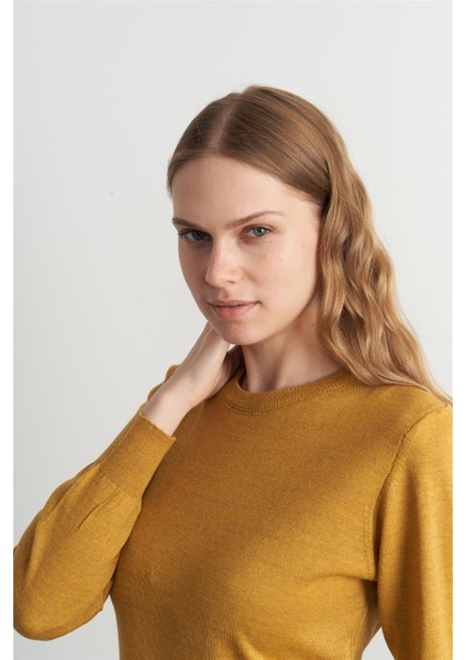 Çetinkaya Miyamira Hardal Kazak modelleri