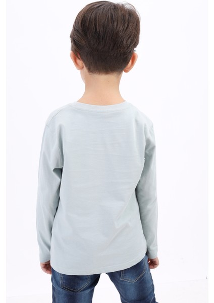 Erkek Çocuk Baskılı Tişört modelleri