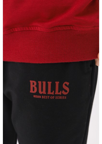 Erkek Çocuk Baskılı Eşofman Takım fiyatları