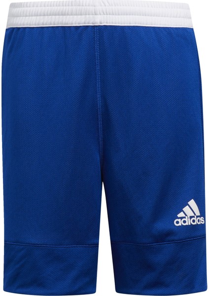 Performance DY6625 3G Speed Reversible Shorts