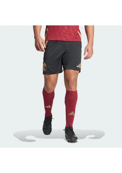 Adidas Performance IQ0759 Belgium 24 Home Shorts