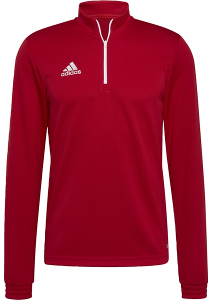 Performance H57556 Entrada 22 Training Top indirimleri