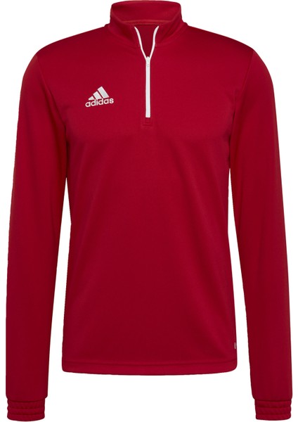 Performance H57556 Entrada 22 Training Top modelleri