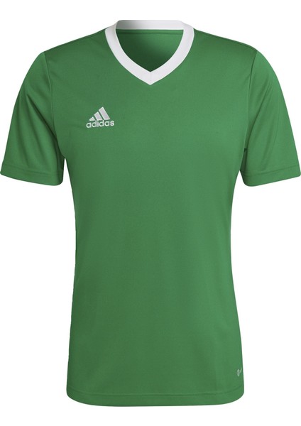 Performance HI2123 Entrada 22 Jersey modelleri