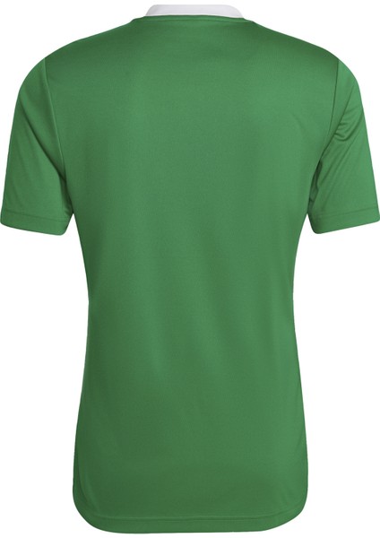 Performance HI2123 Entrada 22 Jersey fiyatları