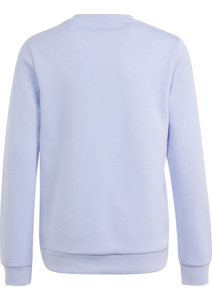 Originals IN8428 Trefoil Crew Sweatshirt