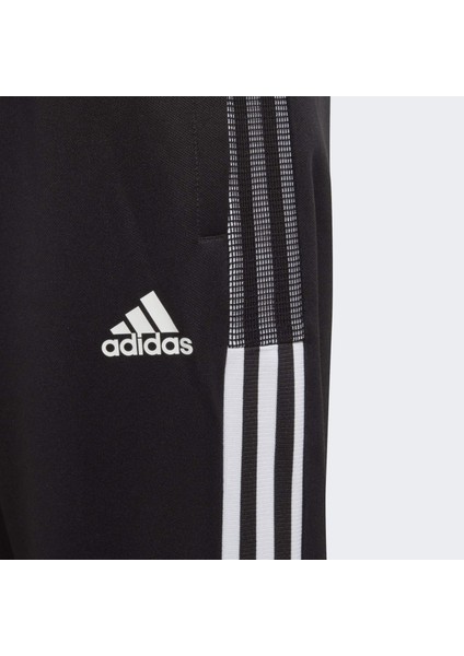 Performance GM7374 Tiro 21 Track Pants modelleri