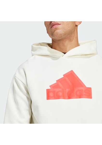 Sportswear IR9184 Future Icons Badge Of Sport Hoodie fırsatları