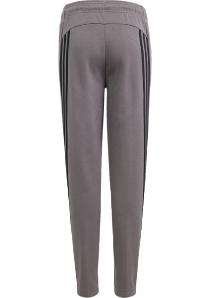 Sportswear IS4419 Future Icons 3-Stripes Ankle-Length Pants fiyatları