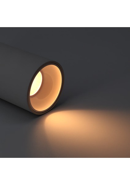 Dekoratif Silindir Siyah Rose LED Spot Aydınlatma fiyatları