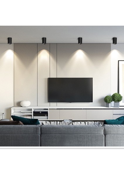 Dekoratif Silindir Siyah Rose LED Spot Aydınlatma modelleri