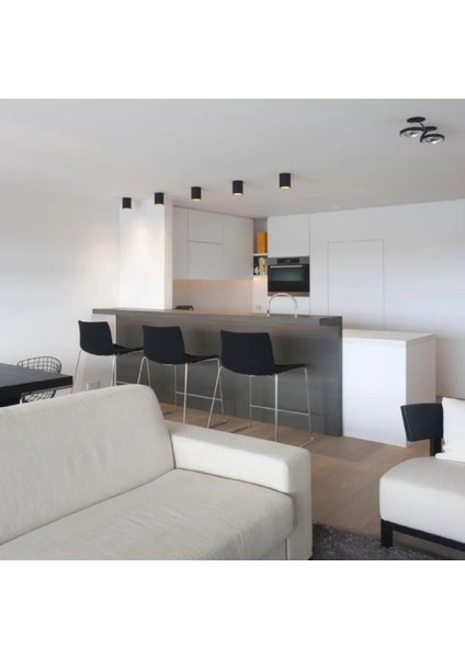 Dekoratif Silindir Siyah Rose LED Spot Aydınlatma fırsatları