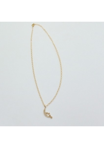 Çelik Gold Zirkon Taşlı Ayyıldız Kolye