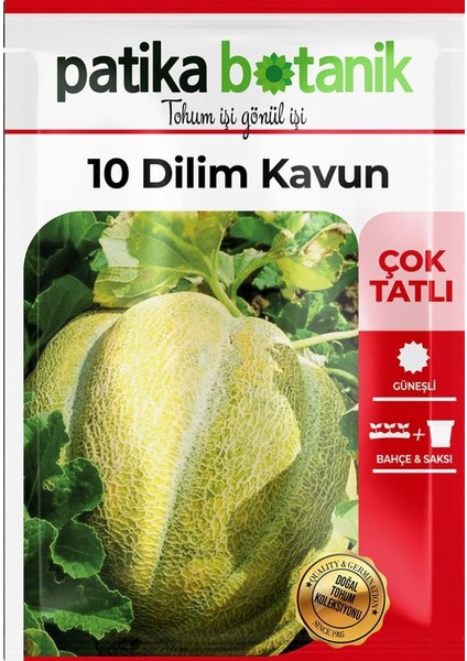 120 Adet Yerli Ata 10 Dilim Çorum Kavun Tohumu