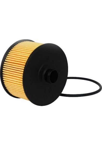 Renault Cliov 1.0,1.3Tce Lpg/+90,100Fıltorq Yağ Filtresi 19/- modelleri