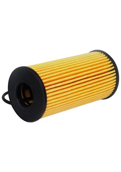 Renaolt Talısman 1.7 Dci 120,150 Filtorq Yağ Filtresi 18/- fırsatları