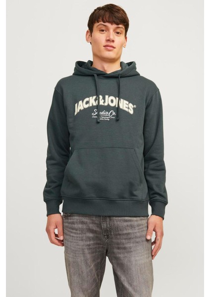 12262919 Jorbronx Arch Bıg Sweat Hood Ln Erkek Hoodie Sweatshirt