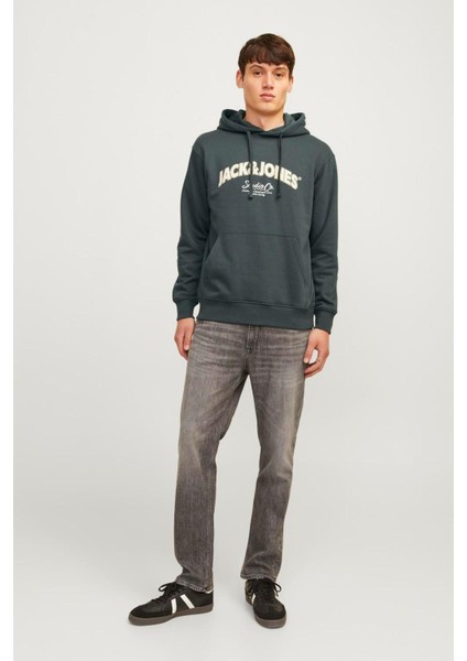 12262919 Jorbronx Arch Bıg Sweat Hood Ln Erkek Hoodie Sweatshirt modelleri