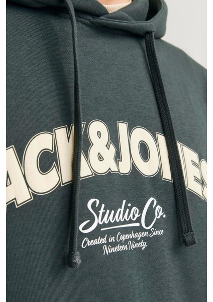 12262919 Jorbronx Arch Bıg Sweat Hood Ln Erkek Hoodie Sweatshirt fırsatları