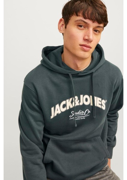 12262919 Jorbronx Arch Bıg Sweat Hood Ln Erkek Hoodie Sweatshirt indirimleri