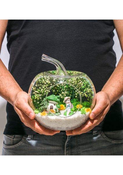 Teraryum Şirin Evim Yeşil fırsatları