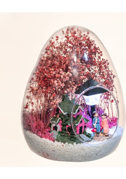 Teraryum Aşkın Senfonisi. Işıklı