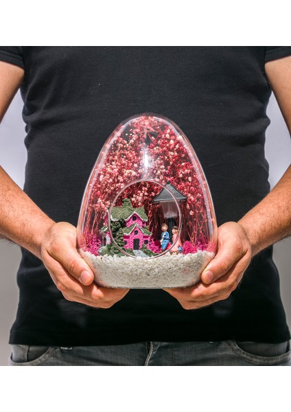 Teraryum Aşkın Senfonisi. Işıklı fırsatları