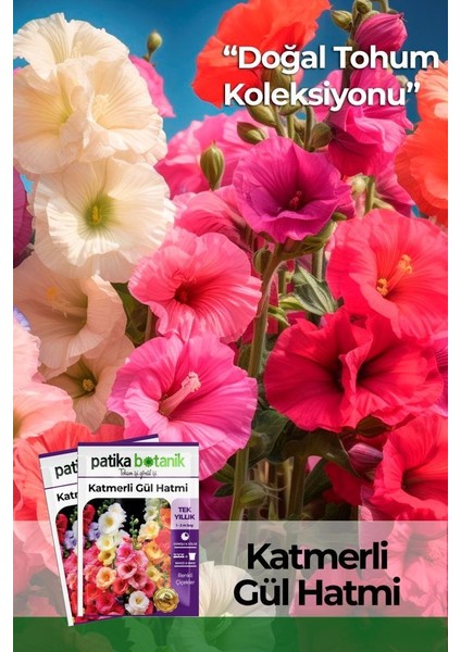 Patika Botanik 50 Adet Hatim Çiçeği (Alcea Rosea) Çiçek Tohumu