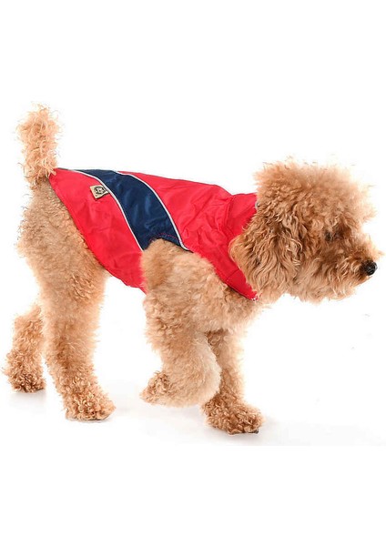 Küçük ve Orta Irk Köpek Yağmurluk Incubi