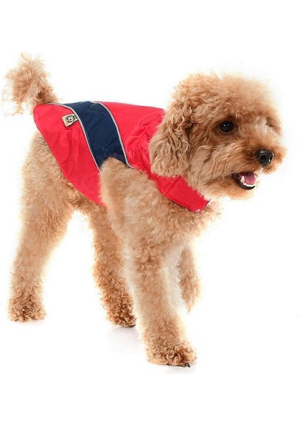 Küçük ve Orta Irk Köpek Yağmurluk Incubi modelleri