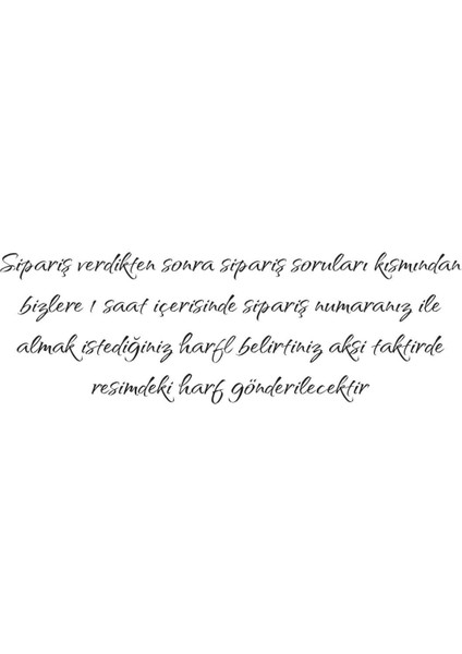 925 Ayar Gümüş Oynar Harfli Oksitli Unisex Bileklik modelleri