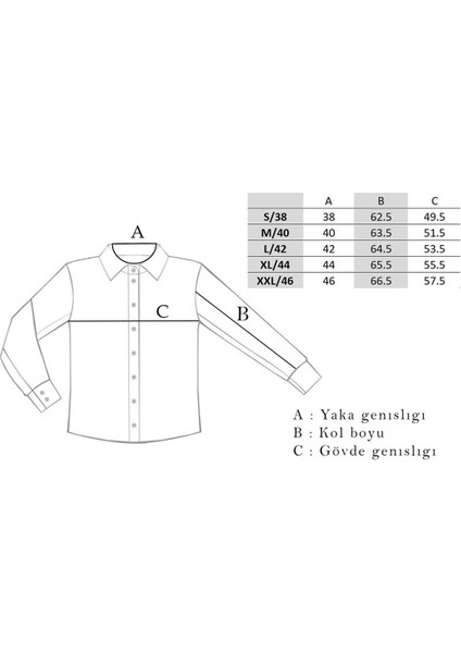 Günlük ve Ofis İçin Uygun Klasik Yaka Erkek Gömlek - KAV4201S