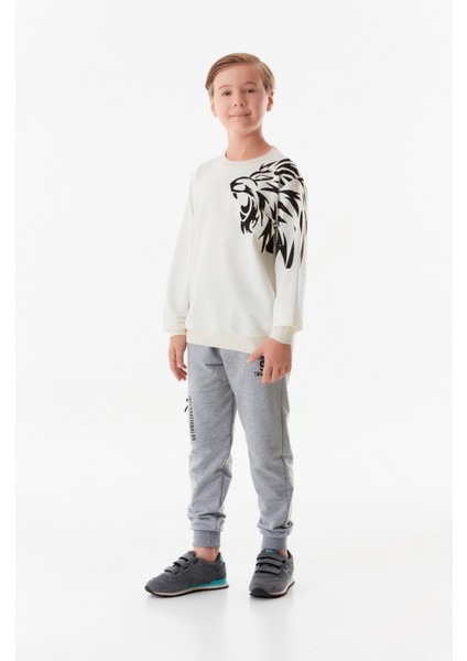 Aslan Baskılı Erkek Çocuk Sweatshirt fiyatları